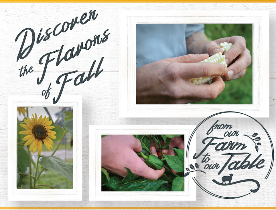 Discover the Flavors of Fall
